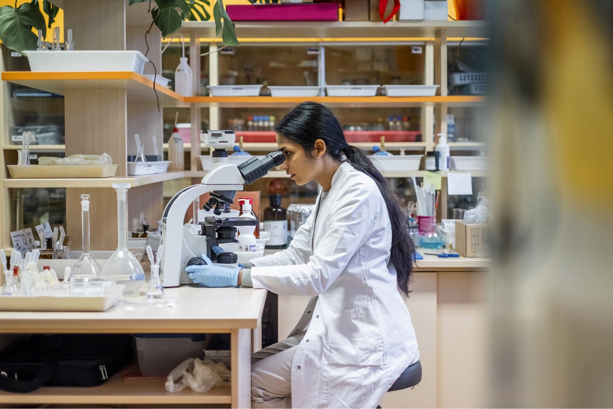 Researcher working at a microscope in a laboratory
